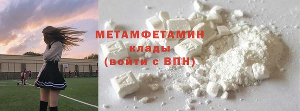 метадон Богданович