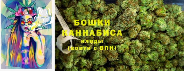 стаф Богородск