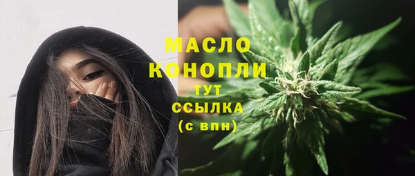 метадон Богданович
